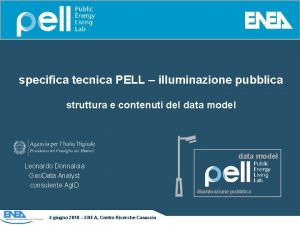 specifica tecnica PELL illuminazione pubblica struttura e contenuti