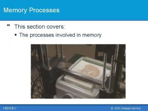 Memory Processes This section covers The processes involved