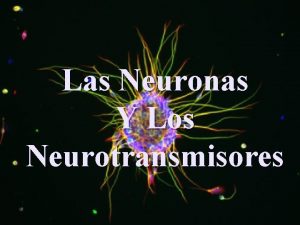 Las Neuronas Y Los Neurotransmisores NEURONAS Partes Axones
