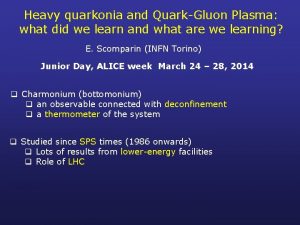 Heavy quarkonia and QuarkGluon Plasma what did we