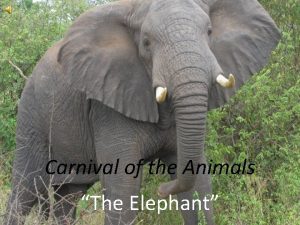 Carnival of the Animals The Elephant Learning Activities