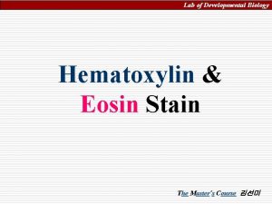 Lab of Developmental Biology Hematoxylin Eosin Stain The