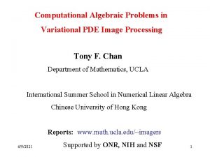 Computational Algebraic Problems in Variational PDE Image Processing