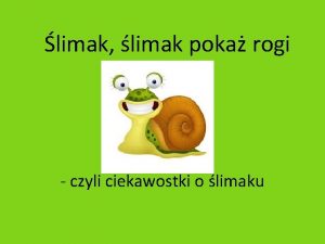 limak limak poka rogi czyli ciekawostki o limaku