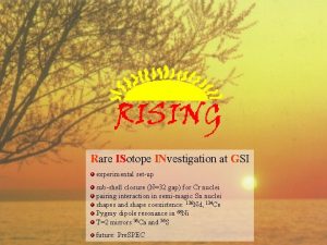 Rare ISotope INvestigation at GSI experimental setup subshell