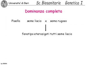 Universita di Bari Dominanza completa Pisello seme liscio