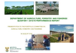 DEPARTMENT OF AGRICULTURE FORESTRY AND FISHERIES QUARTER 1