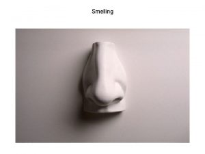 Smelling 5 senses smelling is one of our