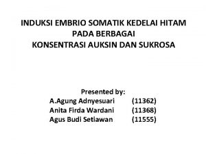 INDUKSI EMBRIO SOMATIK KEDELAI HITAM PADA BERBAGAI KONSENTRASI