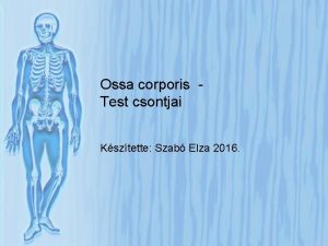 Ossa corporis Test csontjai Ksztette Szab Elza 2016