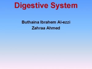 Digestive System Buthaina Ibrahem Alezzi Zahraa Ahmed INTRODUCTION