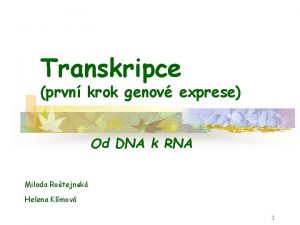 Transkripce prvn krok genov exprese Od DNA k