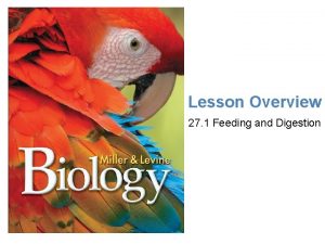 Lesson Overview Feeding and Digestion Lesson Overview 27