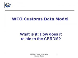 WCO Customs Data Model What is it How