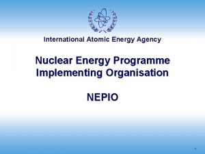 International Atomic Energy Agency Nuclear Energy Programme Implementing