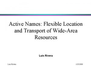 Active Names Flexible Location and Transport of WideArea