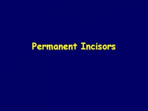 Permanent Incisors Introduction Centrals and laterals 7 8