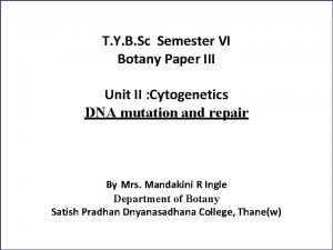 T Y B Sc Semester VI Botany Paper