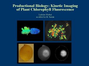 Productional Biology Kinetic Imaging of Plant Chlorophyll Fluorescence