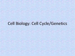 Cell Biology Cell CycleGenetics Notes Unit 5 Biology