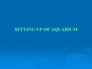 SETTING UP OF AQUARIUM Steps involved in setting