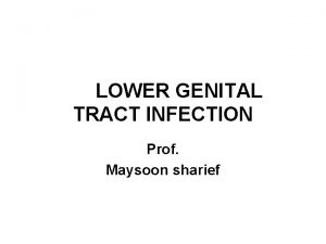 LOWER GENITAL TRACT INFECTION Prof Maysoon sharief Lower
