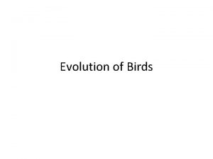 Evolution of Birds Features that unite birds and