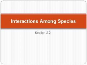 Interactions Among Species Section 2 2 Ecological Niche