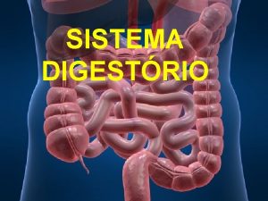 SISTEMA DIGESTRIO DIGESTO v O incio do processo