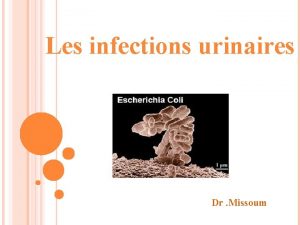 Les infections urinaires Dr Missoum LES BACTRIES EN