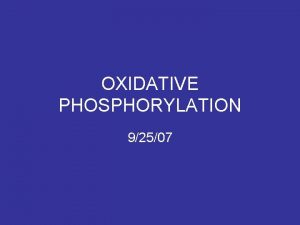 OXIDATIVE PHOSPHORYLATION 92507 ATP Universal Carrier of Free