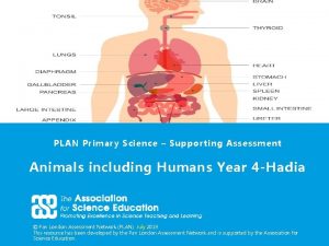 PLAN Primary Science Supporting Assessment Animals including Humans