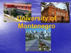 University of Montenegro University of Montenegro general facts