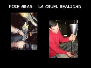 FOIE GRAS LA CRUEL REALIDAD Imagine que termina