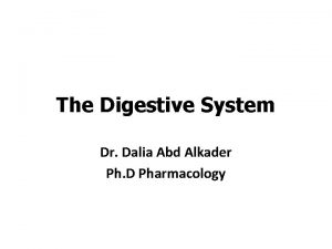 The Digestive System Dr Dalia Abd Alkader Ph