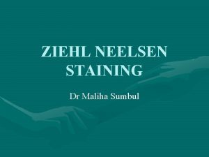 ZIEHL NEELSEN STAINING Dr Maliha Sumbul Over the