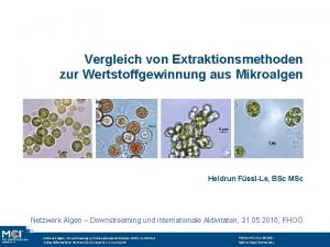 Vergleich von Extraktionsmethoden zur Wertstoffgewinnung aus Mikroalgen Heidrun