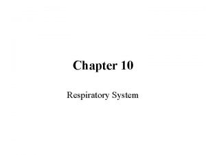 Chapter 10 Respiratory System ROOTS Naso rhino nose