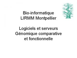 Bioinformatique LIRMM Montpellier Logiciels et serveurs Gnomique comparative