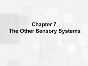 Chapter 7 The Other Sensory Systems Audition The