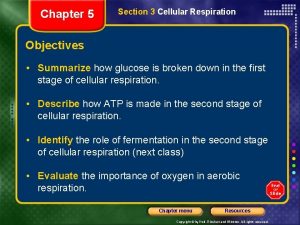 Chapter 5 Section 3 Cellular Respiration Objectives Summarize