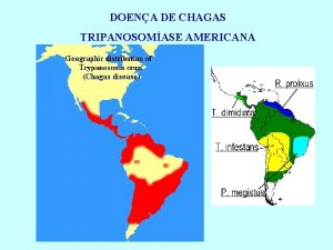 DOENA DE CHAGAS TRIPANOSOMASE AMERICANA DOENA DE CHAGAS