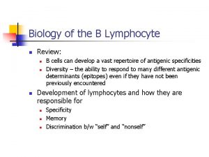 Biology of the B Lymphocyte n Review n