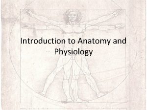 Introduction to Anatomy and Physiology BDay Anatomy 81919