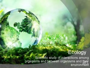 Ecology Scientific study of interactions among organisms and