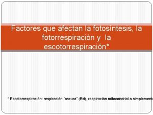 Factores que afectan la fotosntesis la fotorrespiracin y