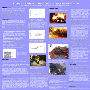 COMBUSTION PROPERTIES OF HUMAN AND LARGE ANIMAL REMAINS