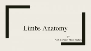 Limbs Anatomy By Asst Lecturer Mays Ibrahim Fascial