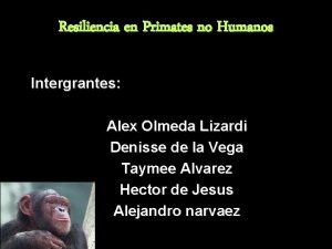 Resiliencia en Primates no Humanos Intergrantes Alex Olmeda
