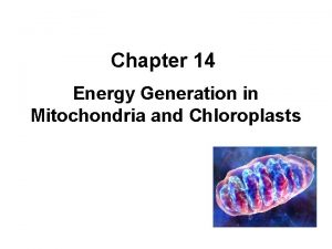 Chapter 14 Energy Generation in Mitochondria and Chloroplasts